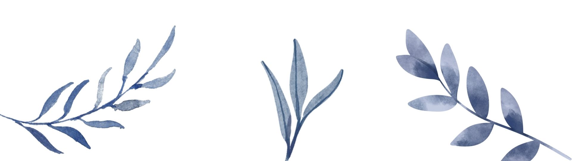 Alt Banner Alt Banner
